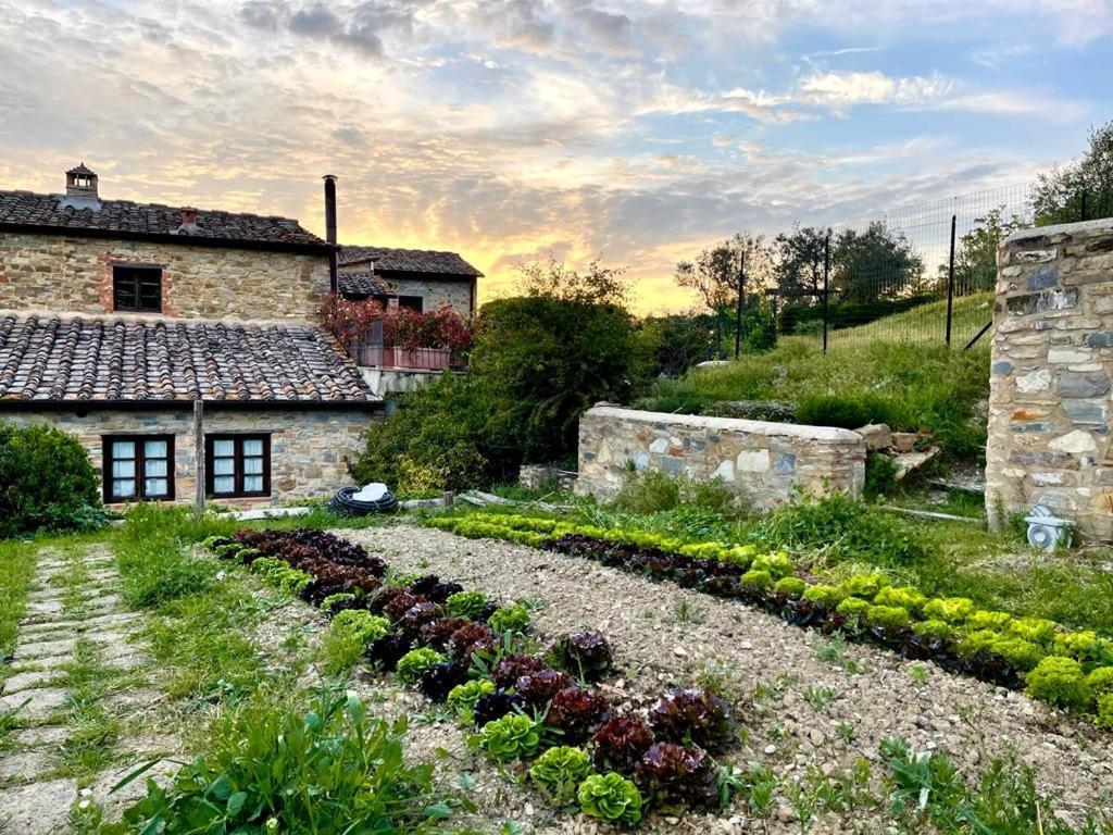 Fattoria Casa Sola Guest House Barberino Val d'Elsa Exterior photo