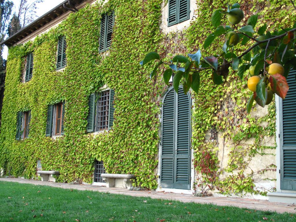 Fattoria Casa Sola Guest House Barberino Val d'Elsa Exterior photo